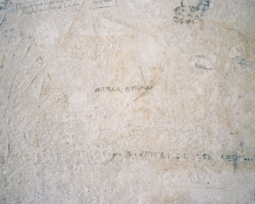click to enlarge